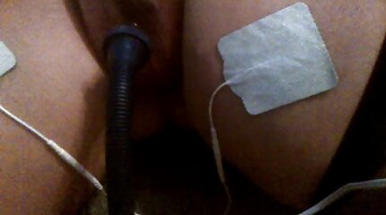 ភាសាឡាតាំង