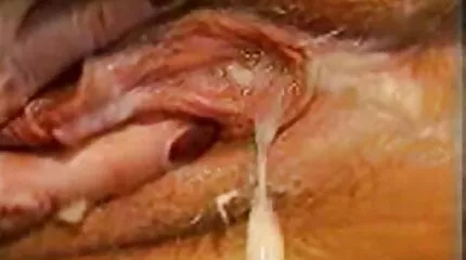 Pervert ក្រុមគ្រួសារនៅលើវិស្សមកាលបានរៀបចំសុន្ធជាក្រុម