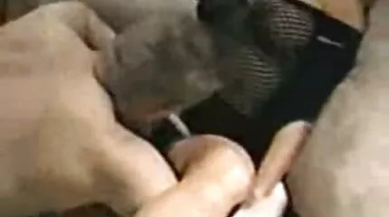 Fucked នៅក្នុងលាដោយក្មេងស្រីលោក dick ជាយូរមកហើយនៅក្នុងជើងផ្កាឈូក។